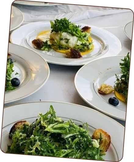 Several elegantly plated dishes, featuring fresh green salads with croutons and blueberries, on a white tablecloth.